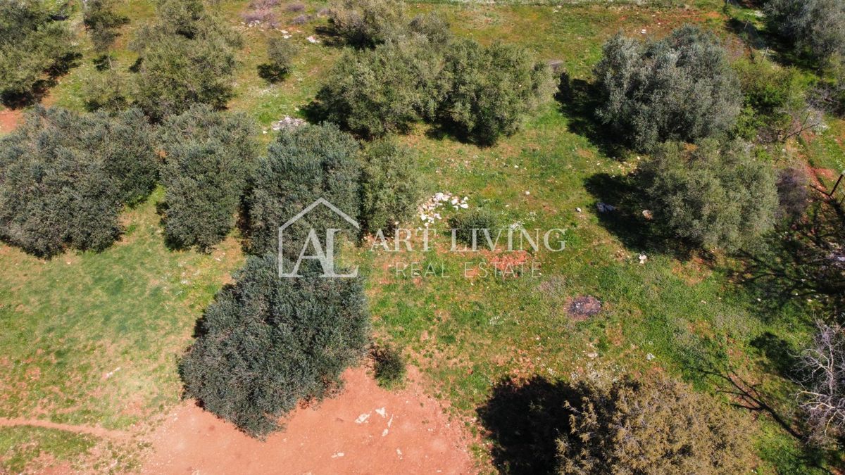 Buje - Kaštel - PRILOŽNOST, gradbeno zemljišče 1200 m2