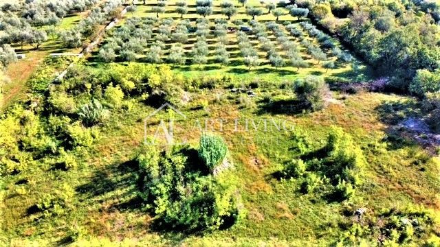 Umag-okolica, zazidljiva parcela 640 m2 na atraktivni lokaciji