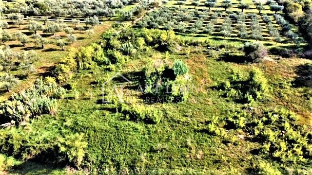 Umag-okolica, zazidljiva parcela 640 m2 na atraktivni lokaciji