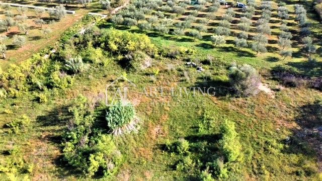 Umag-okolica, zazidljiva parcela 640 m2 na atraktivni lokaciji