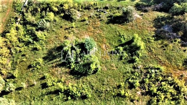 Umag-okolica, zazidljiva parcela 640 m2 na atraktivni lokaciji
