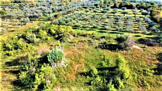 Umag-okolica, zazidljiva parcela 640 m2 na atraktivni lokaciji