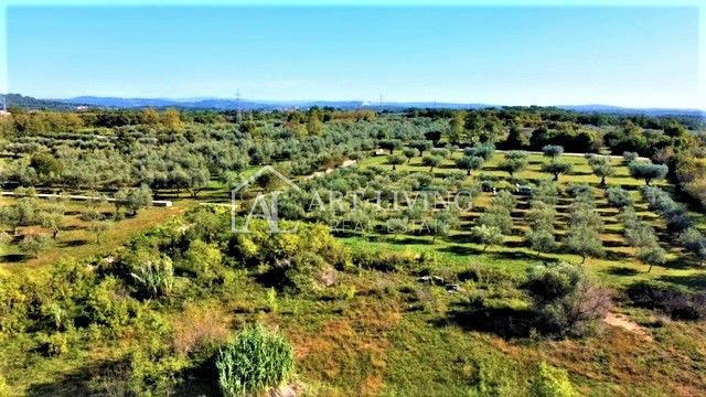 Umag-okolica, zazidljiva parcela 640 m2 na atraktivni lokaciji