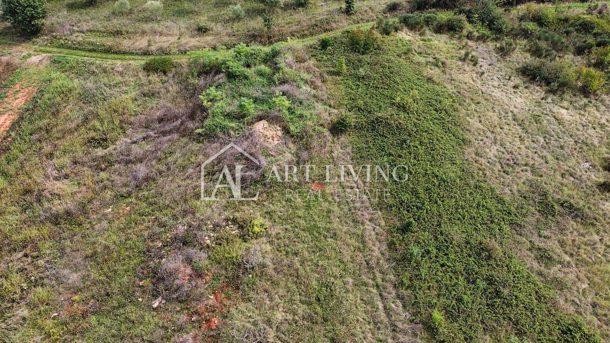 Umag, okolica – Atraktivno kmetijsko zemljišče, 2.600 m² na odlični lokaciji