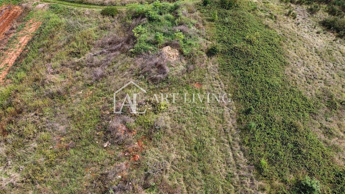 Umag, okolica – Atraktivno kmetijsko zemljišče, 2.600 m² na odlični lokaciji