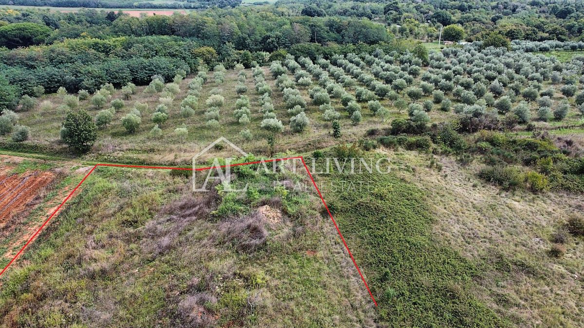 Umag, okolica – Atraktivno kmetijsko zemljišče, 2.600 m² na odlični lokaciji