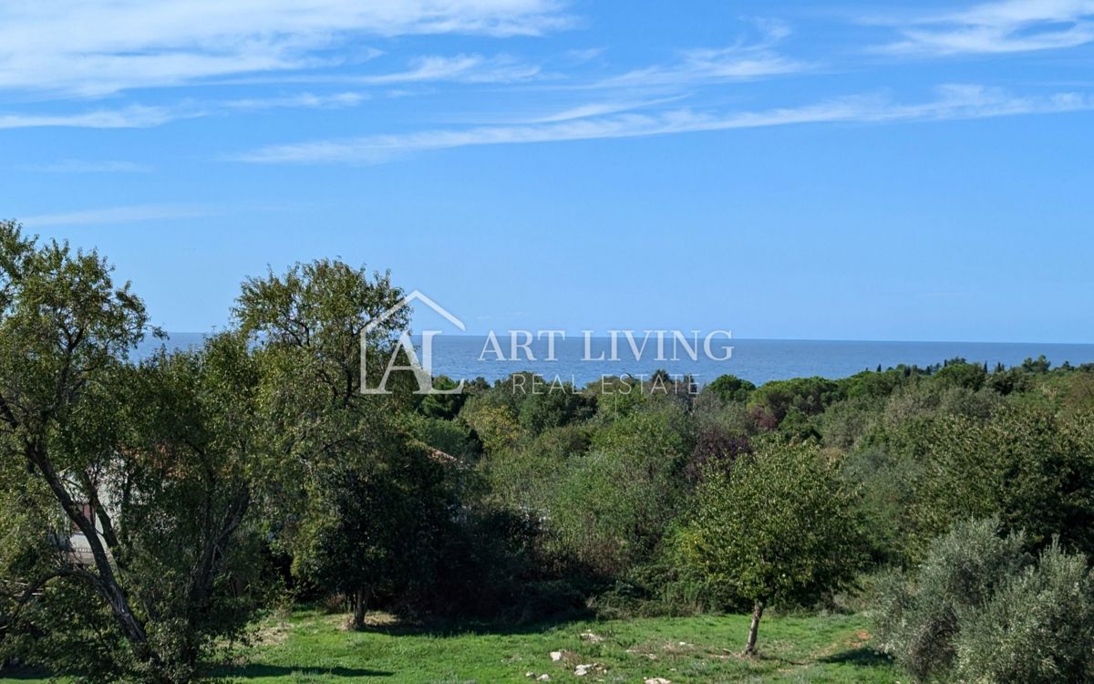 Poreč, moderna luksuzna vila z bazenom, 500 m od morja