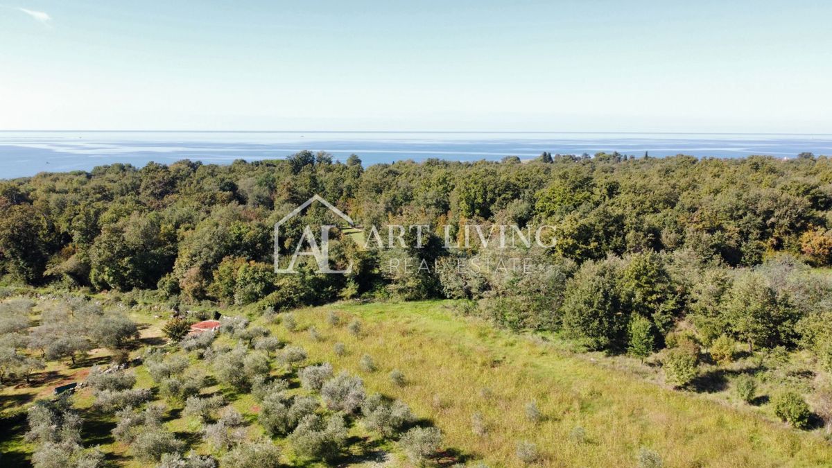 Umag, okolica – penthouse z 2 spalnicama, skupni bazen, pogled na morje