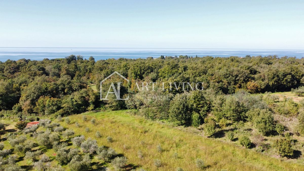 Umag, okolica – penthouse z 2 spalnicama, skupni bazen, pogled na morje