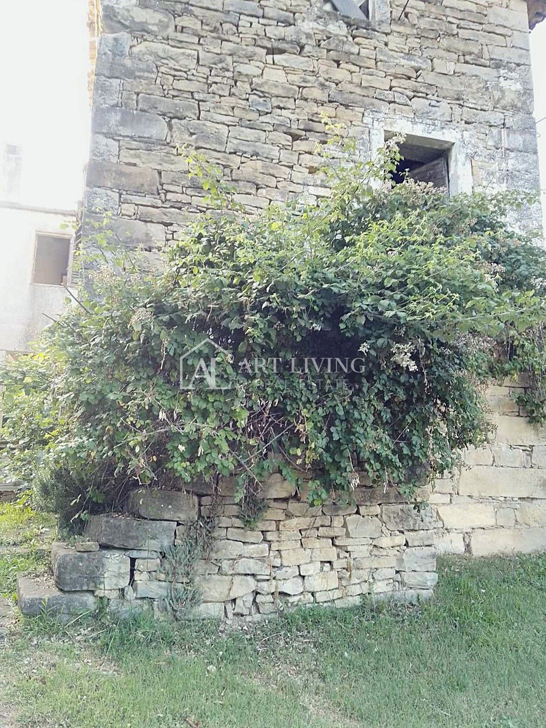 Buzet, okolica – pristna kamnita hiša za obnovo – PRILOŽNOST!