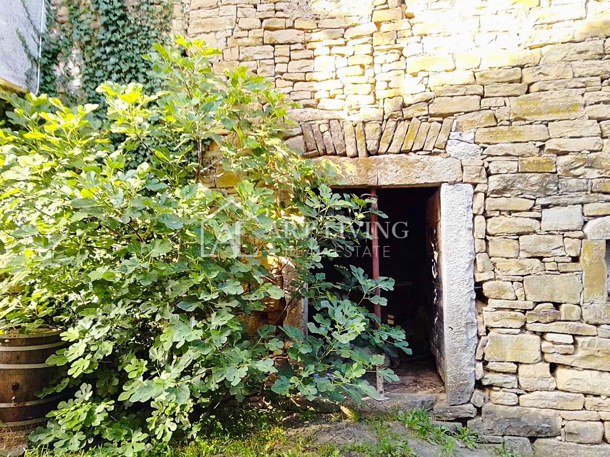 Buzet, okolica – pristna kamnita hiša za obnovo – PRILOŽNOST!