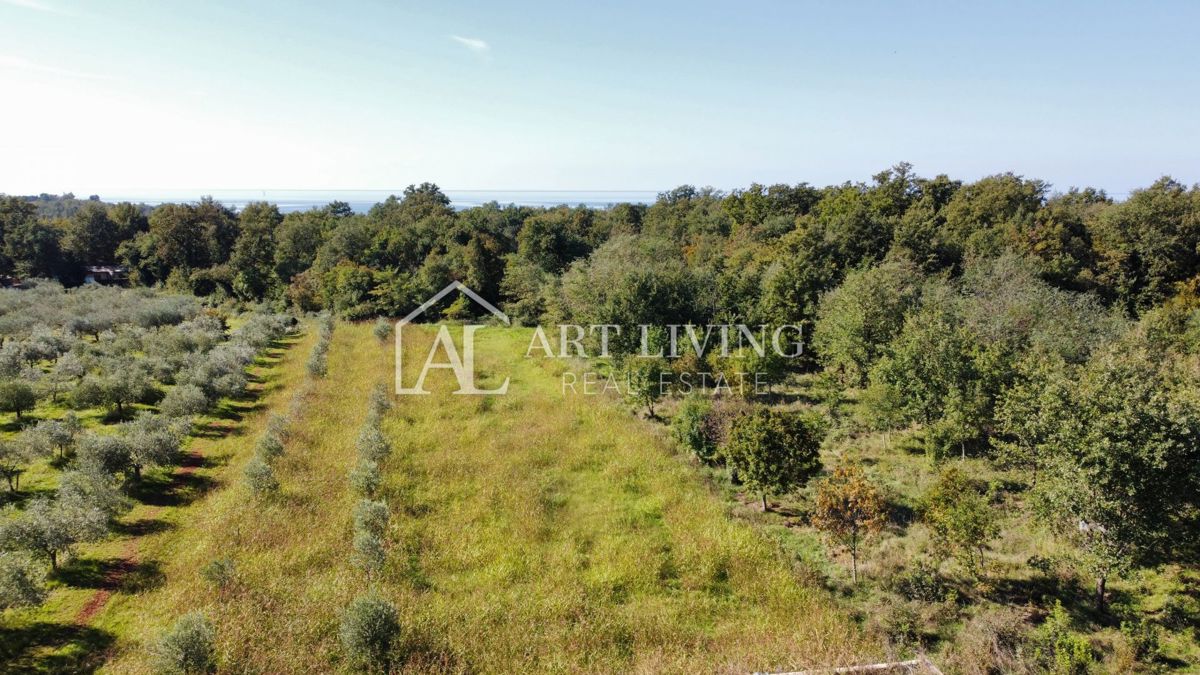 Umag, okolica – 2 spalnici + dnevna soba, skupni bazen, 400 m od morja, PRILOŽNOST!