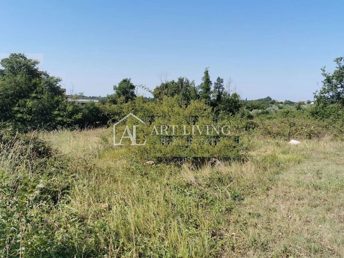 Brtonigla, okolica – prostorno kmetijsko zemljišče, 11.800 m²