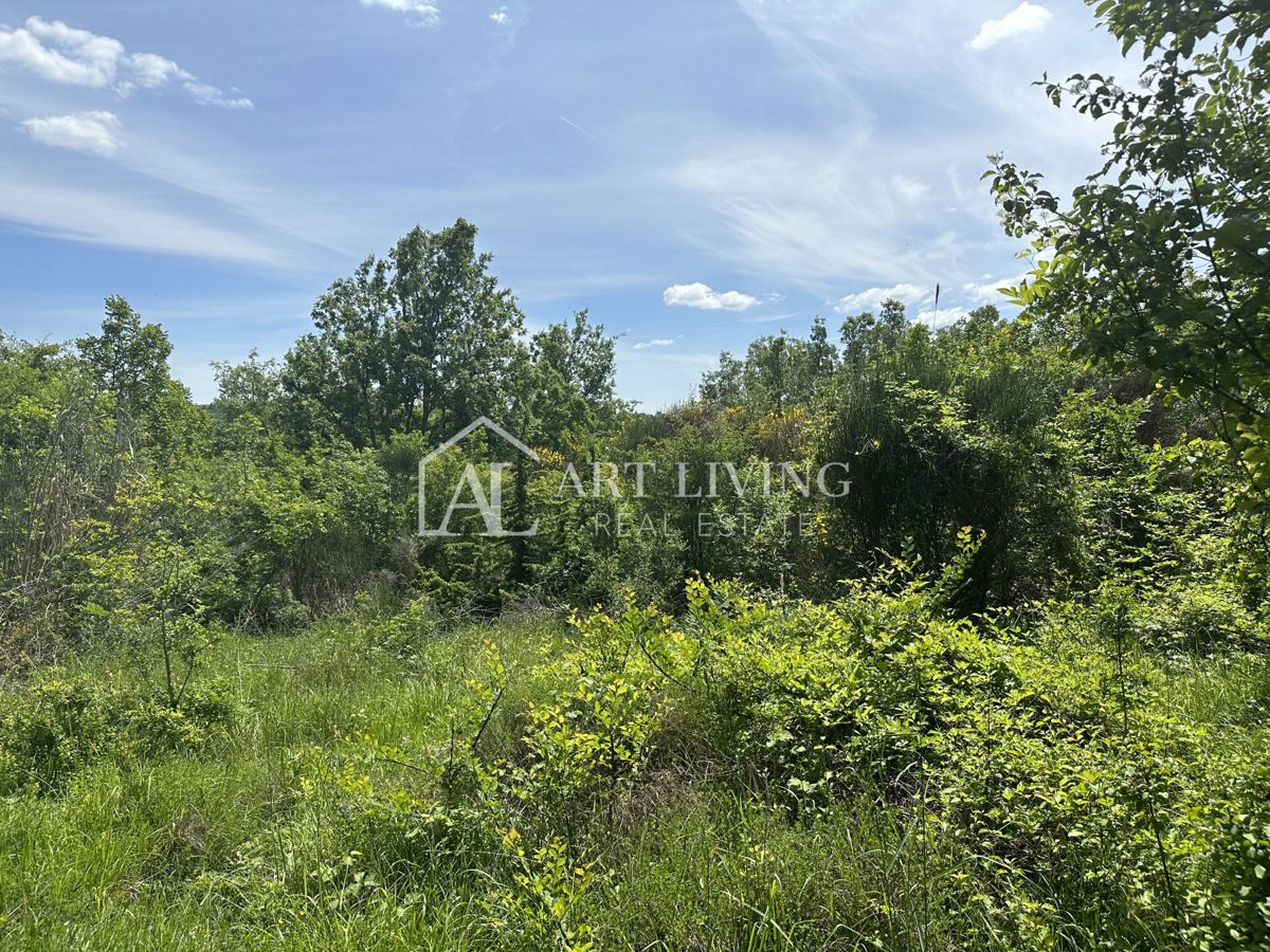 Brtonigla, okolica – prostorno kmetijsko zemljišče, 11.800 m²