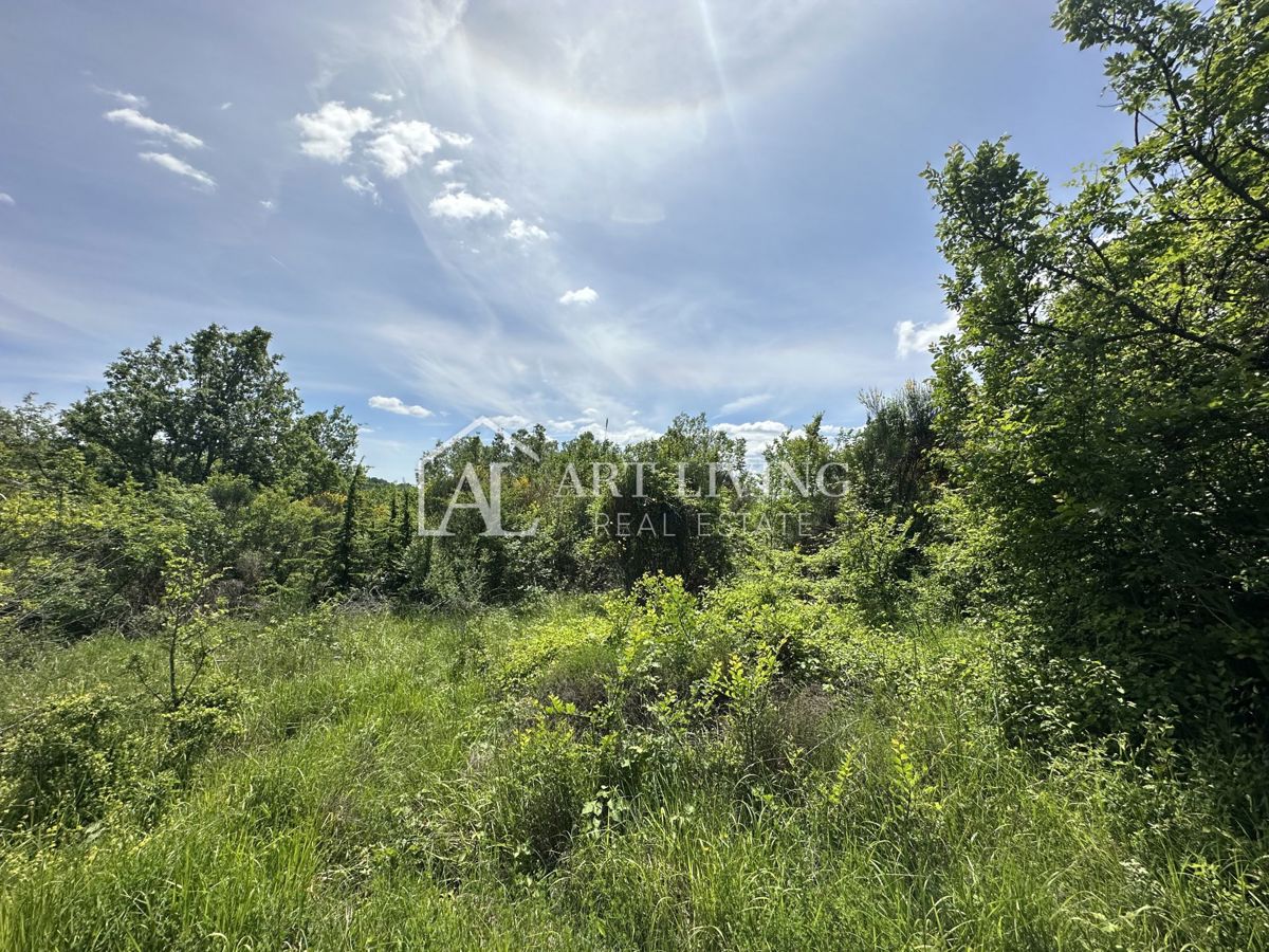Brtonigla, okolica – prostorno kmetijsko zemljišče, 11.800 m²