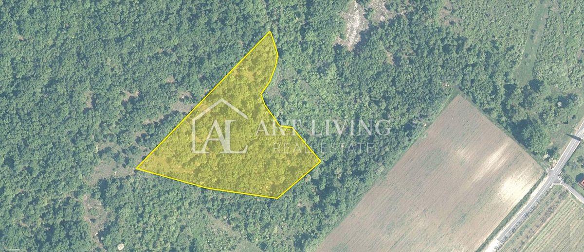 Brtonigla, okolica – prostorno kmetijsko zemljišče, 11.800 m²