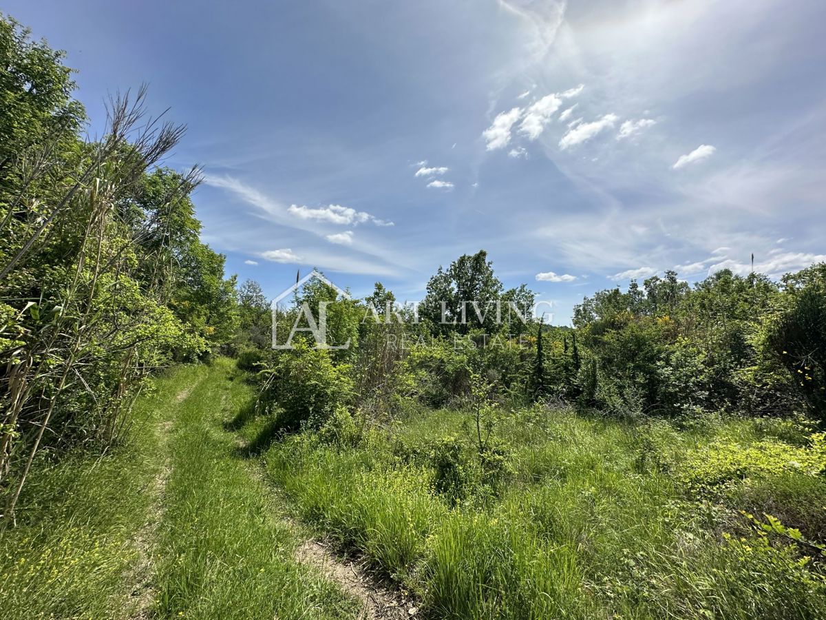 Brtonigla, okolica – prostorno kmetijsko zemljišče, 11.800 m²