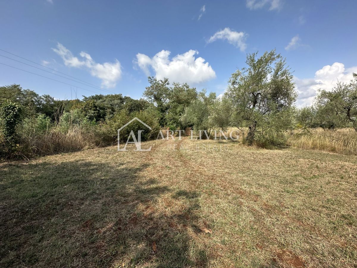Umag, okolica – Hiša za prenovo z veliko parcelo velikosti 2000 m²