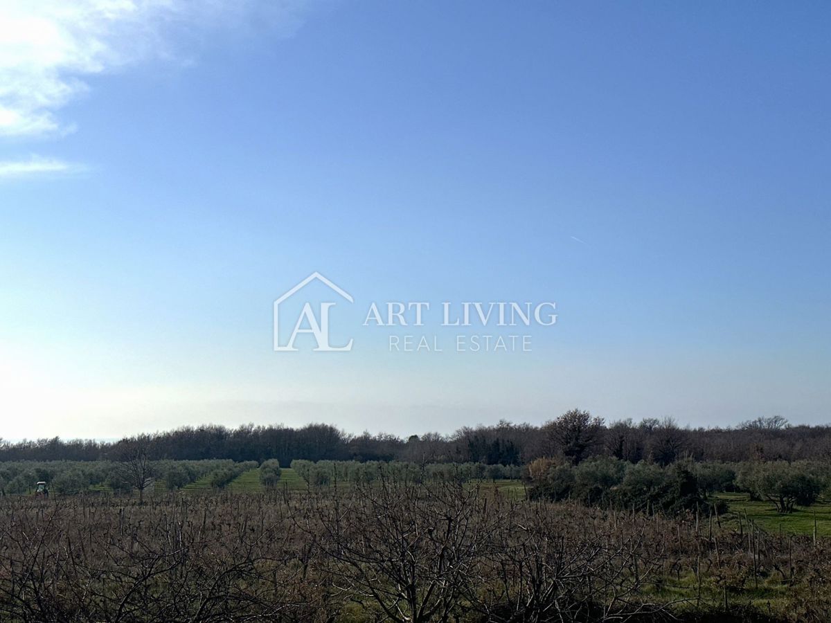 Umag, okolica - očarljivo dvosobno stanovanje na mirni in lepi lokaciji