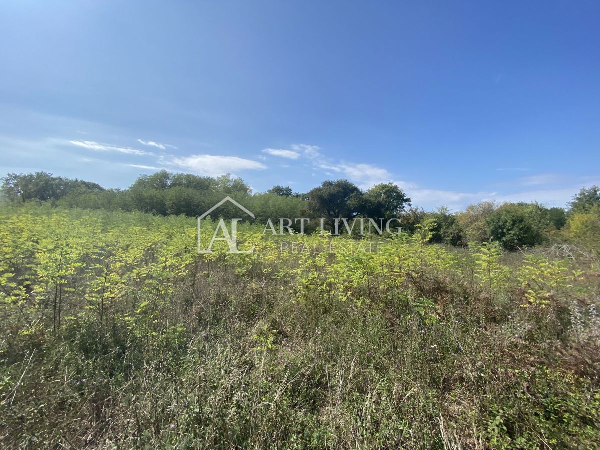 Umag, okolica - kmetijsko zemljišče na mirni lokaciji, 3700 m2