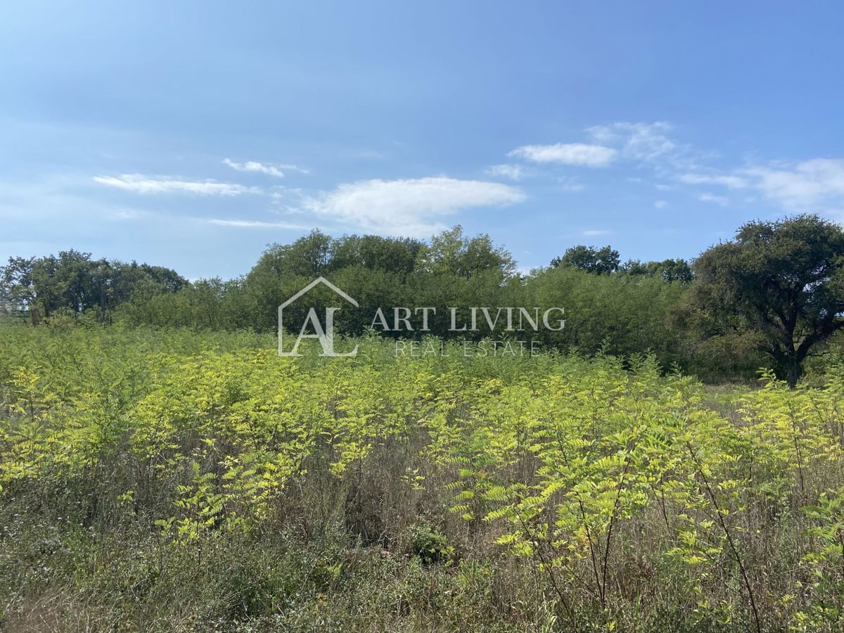 Umag, okolica - kmetijsko zemljišče na mirni lokaciji, 3700 m2