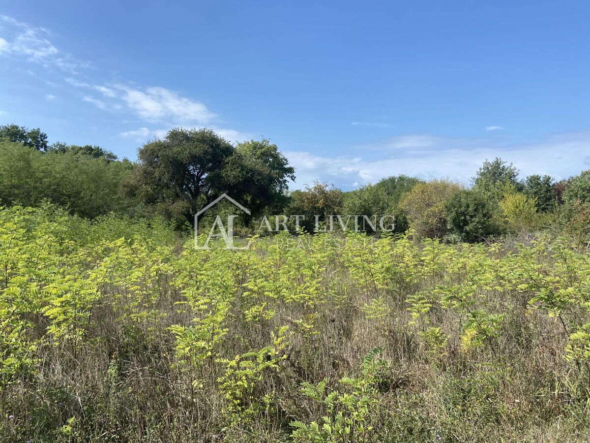 Umag, okolica - kmetijsko zemljišče na mirni lokaciji, 3700 m2