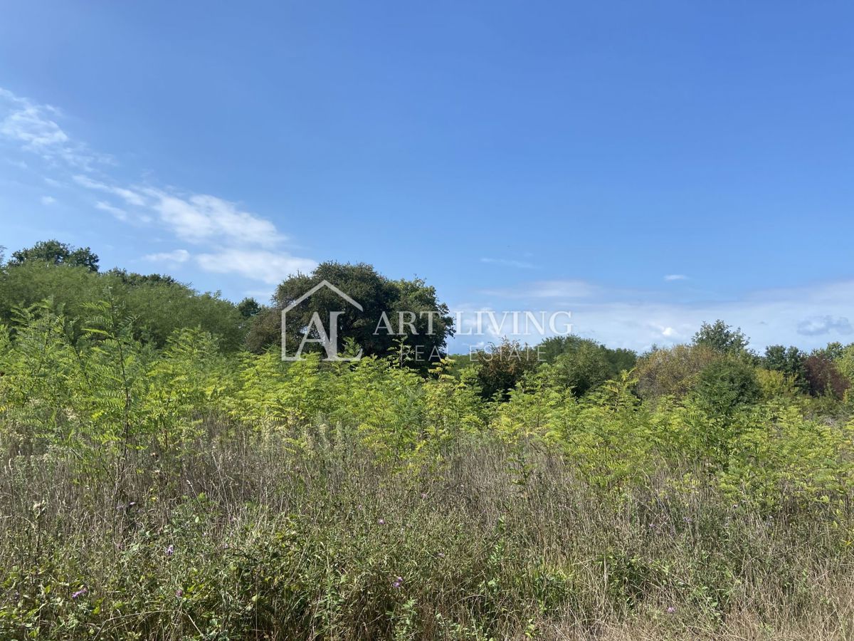 Umag, okolica - kmetijsko zemljišče na mirni lokaciji, 3700 m2