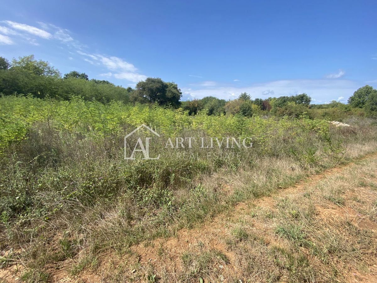 Umag, okolica - kmetijsko zemljišče na mirni lokaciji, 3700 m2