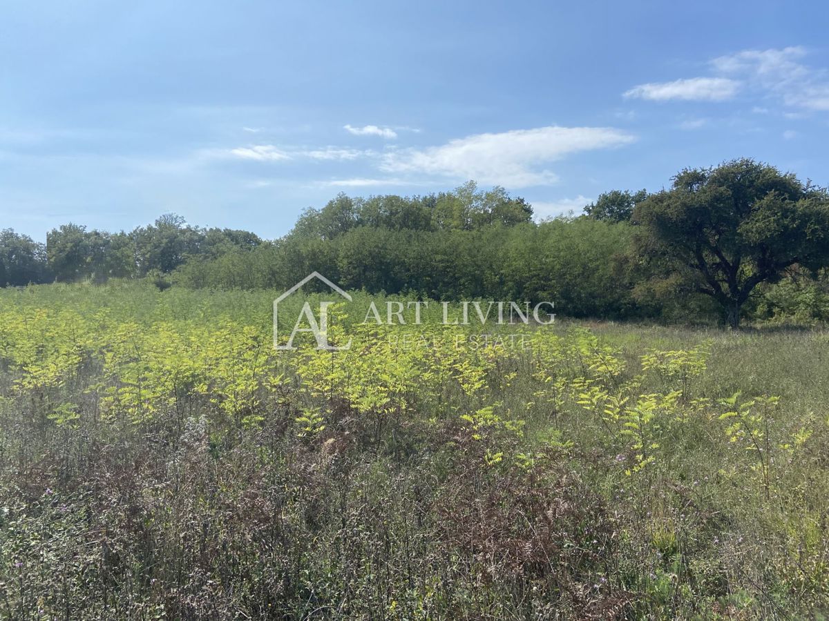 Umag, okolica - kmetijsko zemljišče na mirni lokaciji, 3700 m2