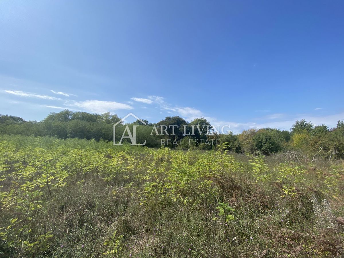 Umag, okolica - kmetijsko zemljišče na mirni lokaciji, 3700 m2