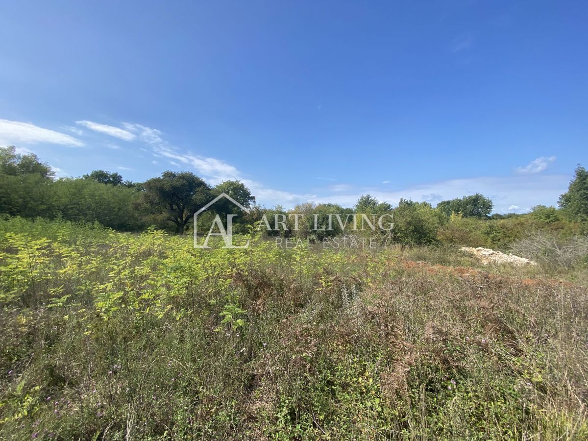 Umag, okolica - kmetijsko zemljišče na mirni lokaciji, 3700 m2