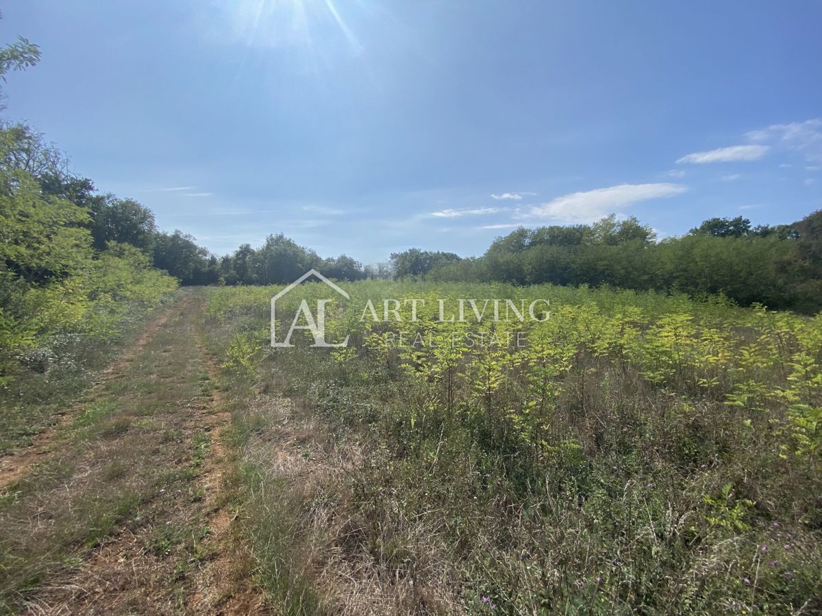 Umag, okolica - kmetijsko zemljišče na mirni lokaciji, 3700 m2