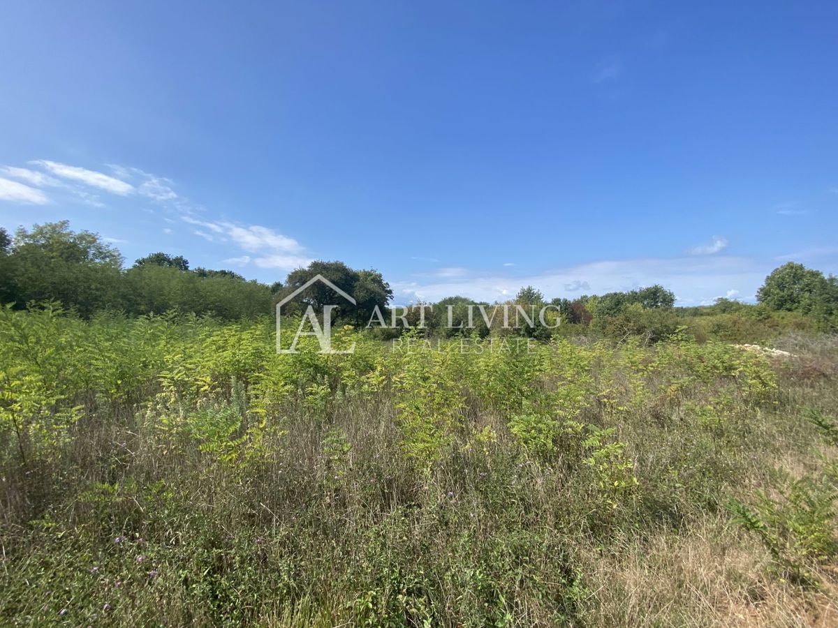 Umag, okolica - kmetijsko zemljišče na mirni lokaciji, 3700 m2