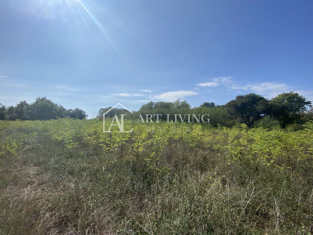 Umag, okolica - kmetijsko zemljišče na mirni lokaciji, 3700 m2