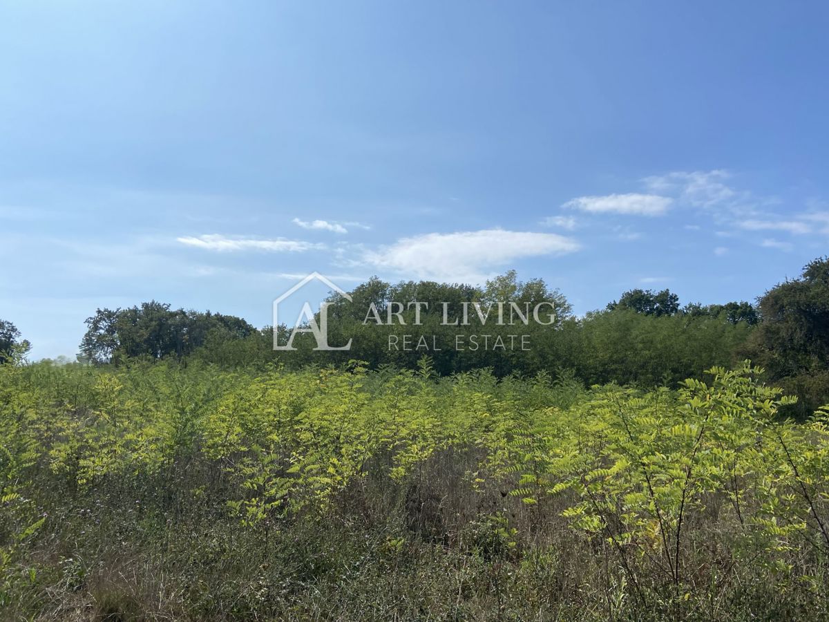 Umag, okolica - kmetijsko zemljišče na mirni lokaciji, 3700 m2