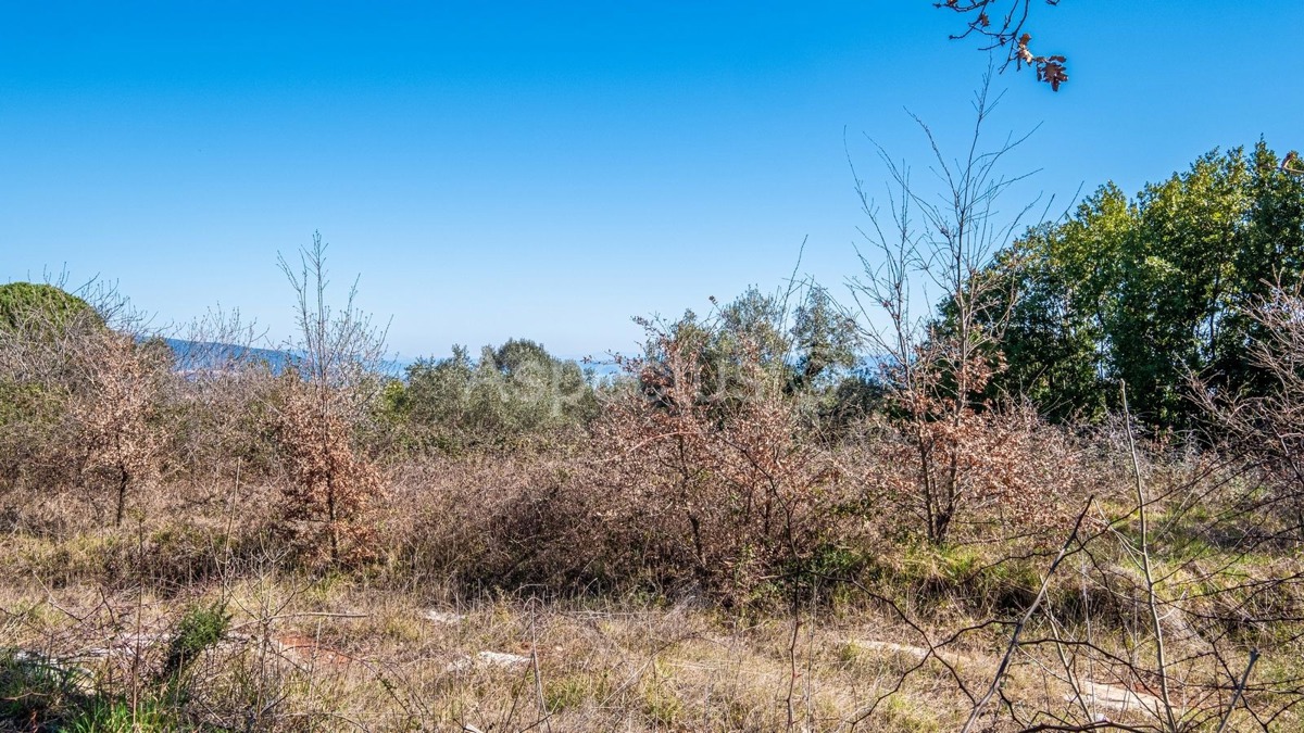 Građevinsko zemljište, pogled more, okolica Pule | Krnica