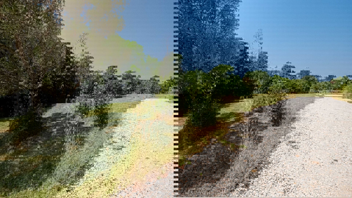 Gradbena parcela z idejnim projektom, Krnica | Istra