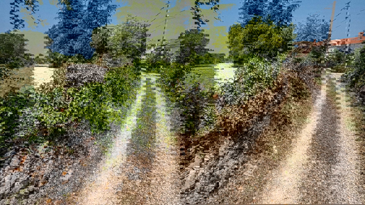 Gradbena parcela z idejnim projektom, Krnica | Istra