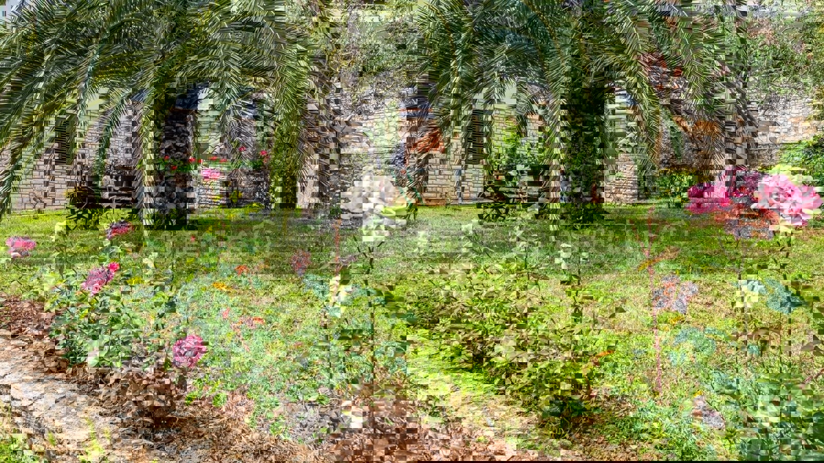 Stanovanje z vrtom, parkiriščem | Medulin, Premantura