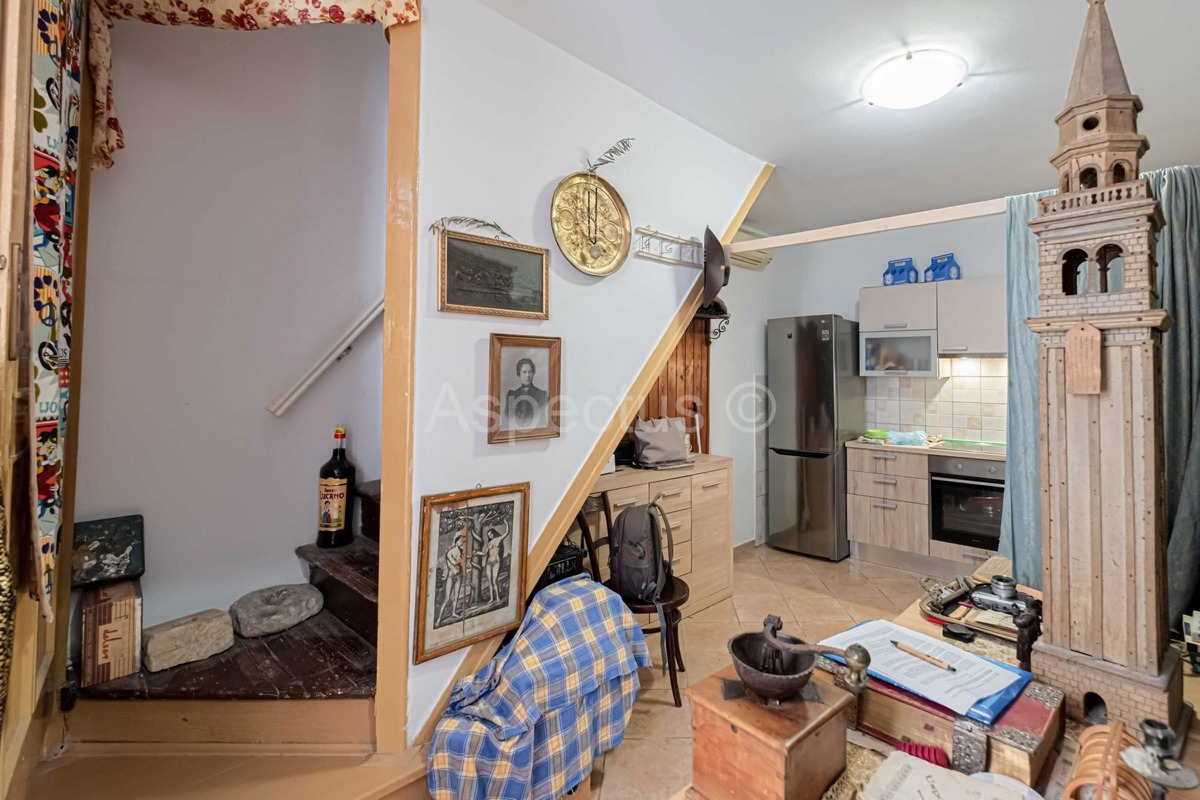 Vodnjan, Kamena kuća za život i poslovanje, Istra