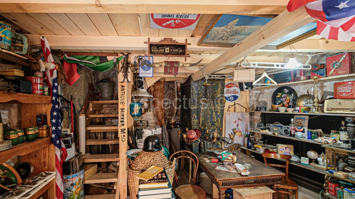 Vodnjan, Kamena kuća za život i poslovanje, Istra