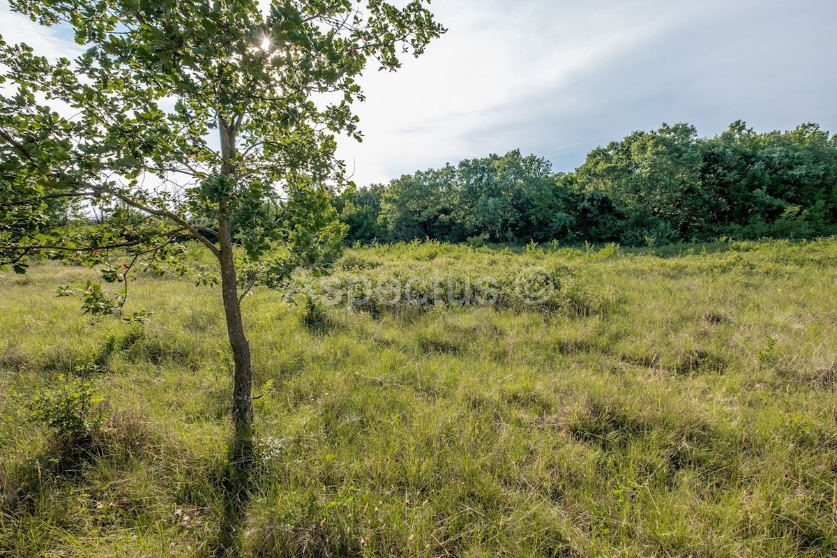 Zemljišče ob meji urbanizacije, Gradina, Vrsar