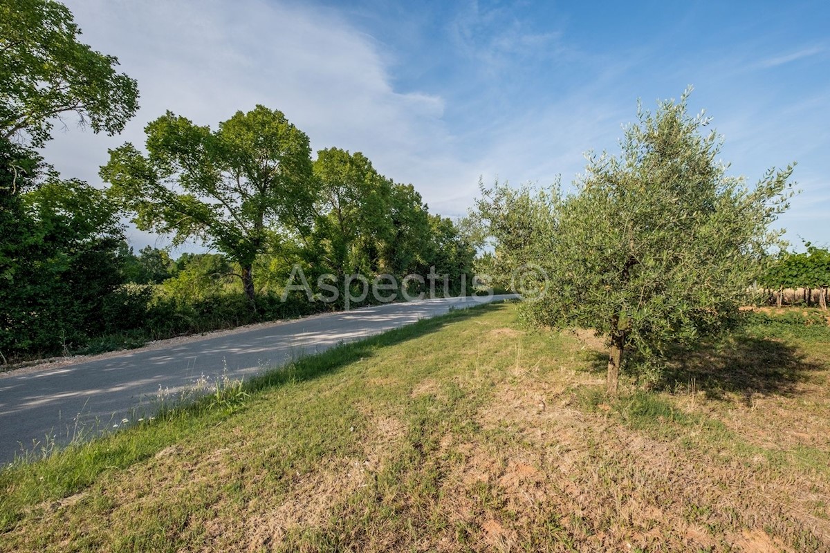 Zemljišče ob meji urbanizacije, Gradina, Vrsar