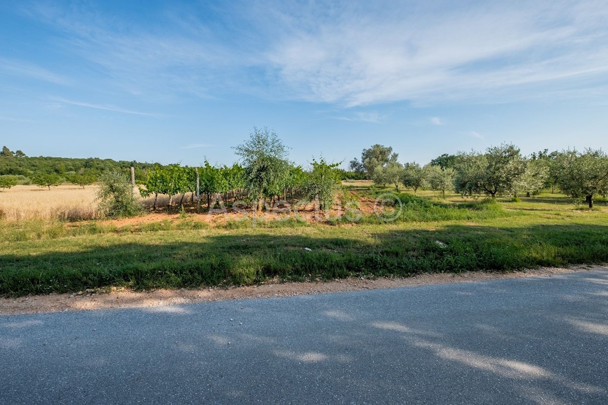 Zemljišče ob meji urbanizacije, Gradina, Vrsar