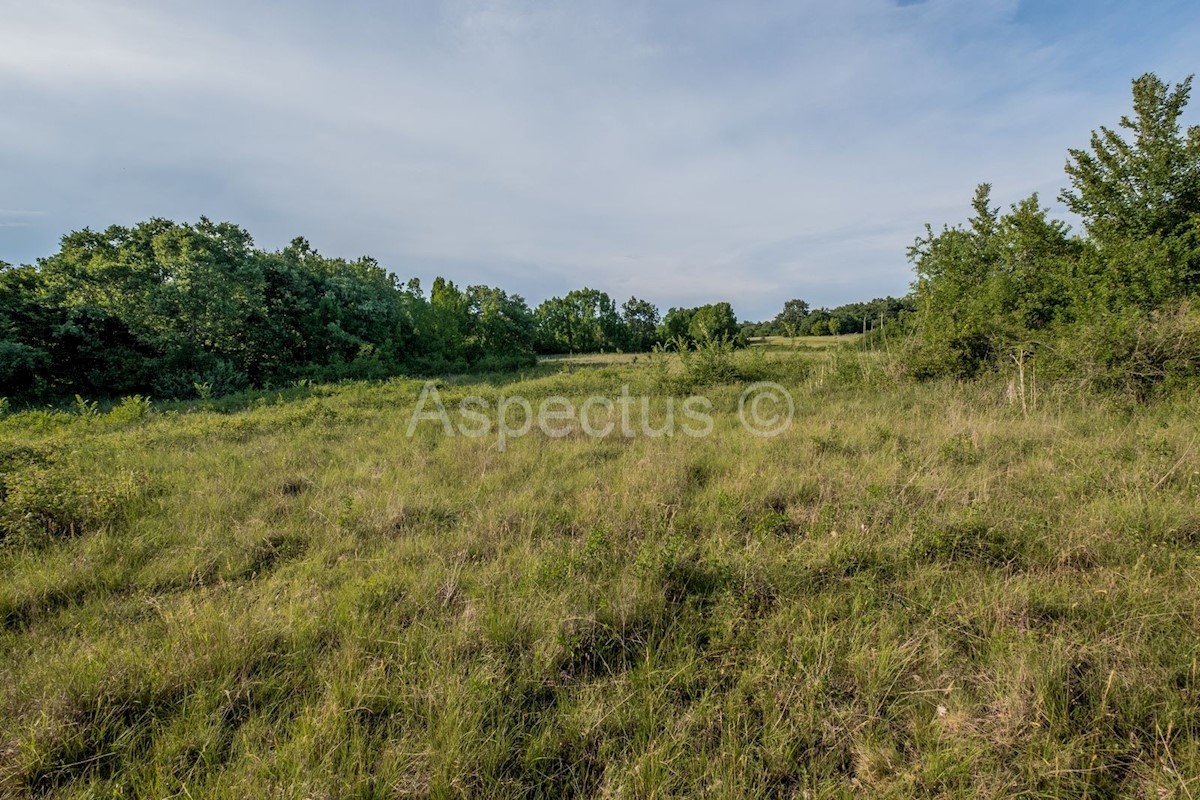 Zemljišče ob meji urbanizacije, Gradina, Vrsar