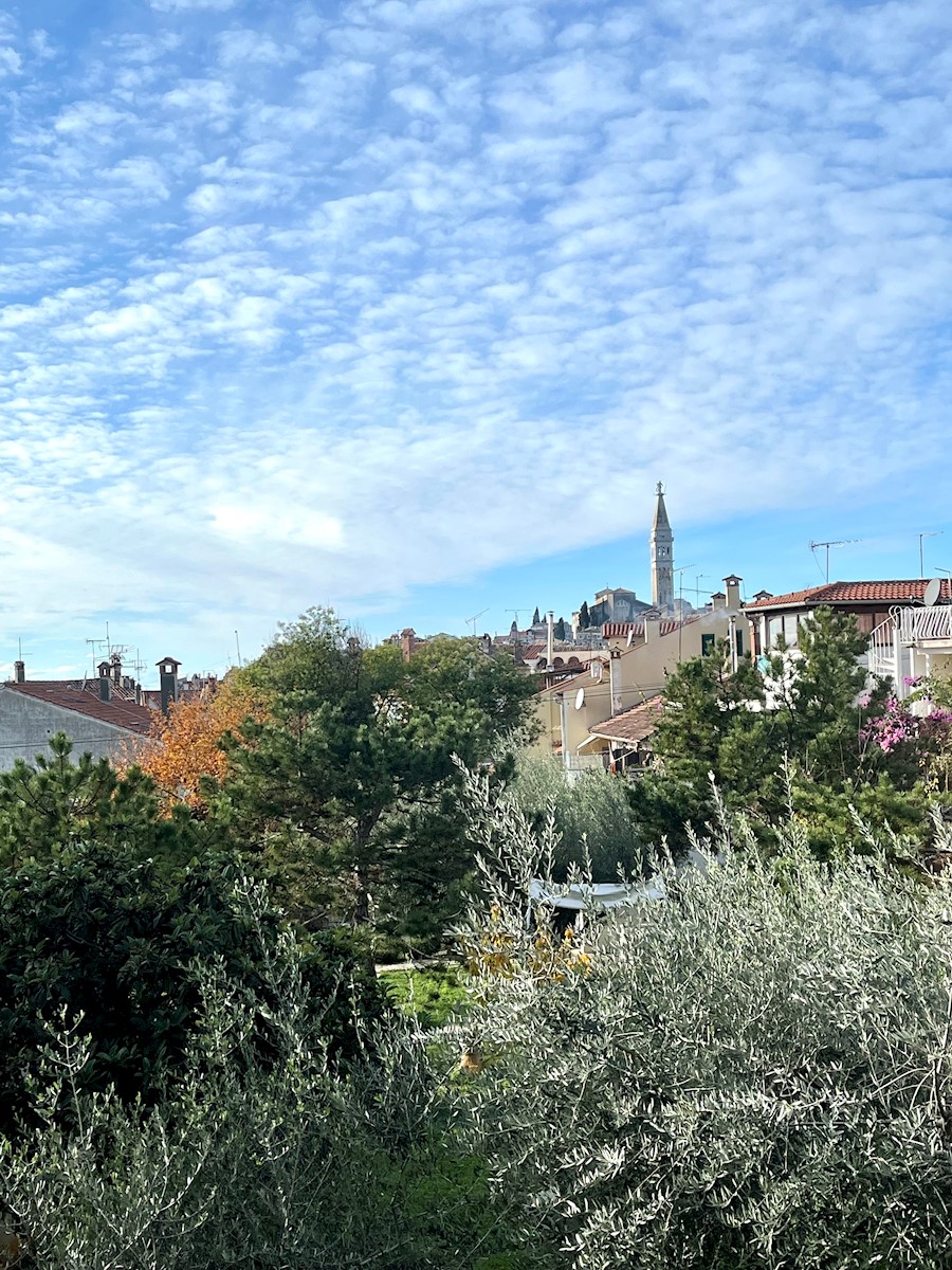 V centru Rovinja,3 studio apartmaji in majhna hiša