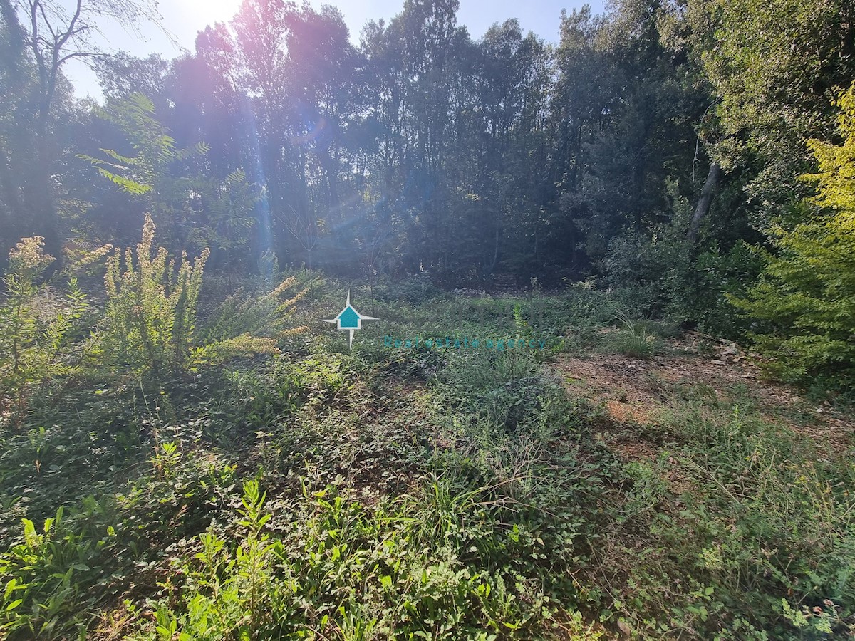 Istra, Rakalj, 70 metrov od morja, kmetijsko zemljišče 439m2