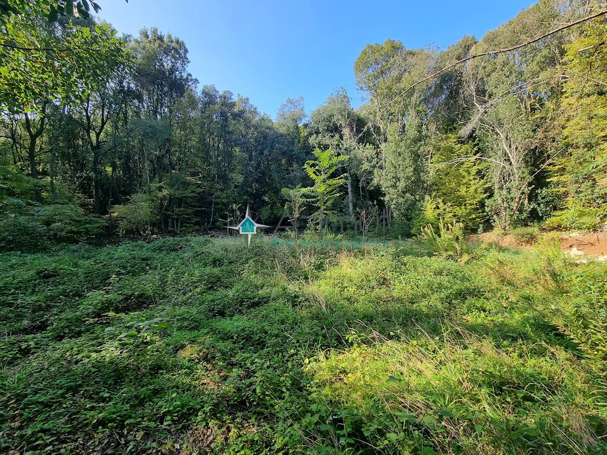 Istra, Rakalj, 70 metrov od morja, kmetijsko zemljišče 439m2