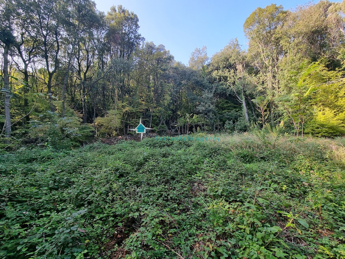 Istra, Rakalj, 70 metrov od morja, kmetijsko zemljišče 439m2