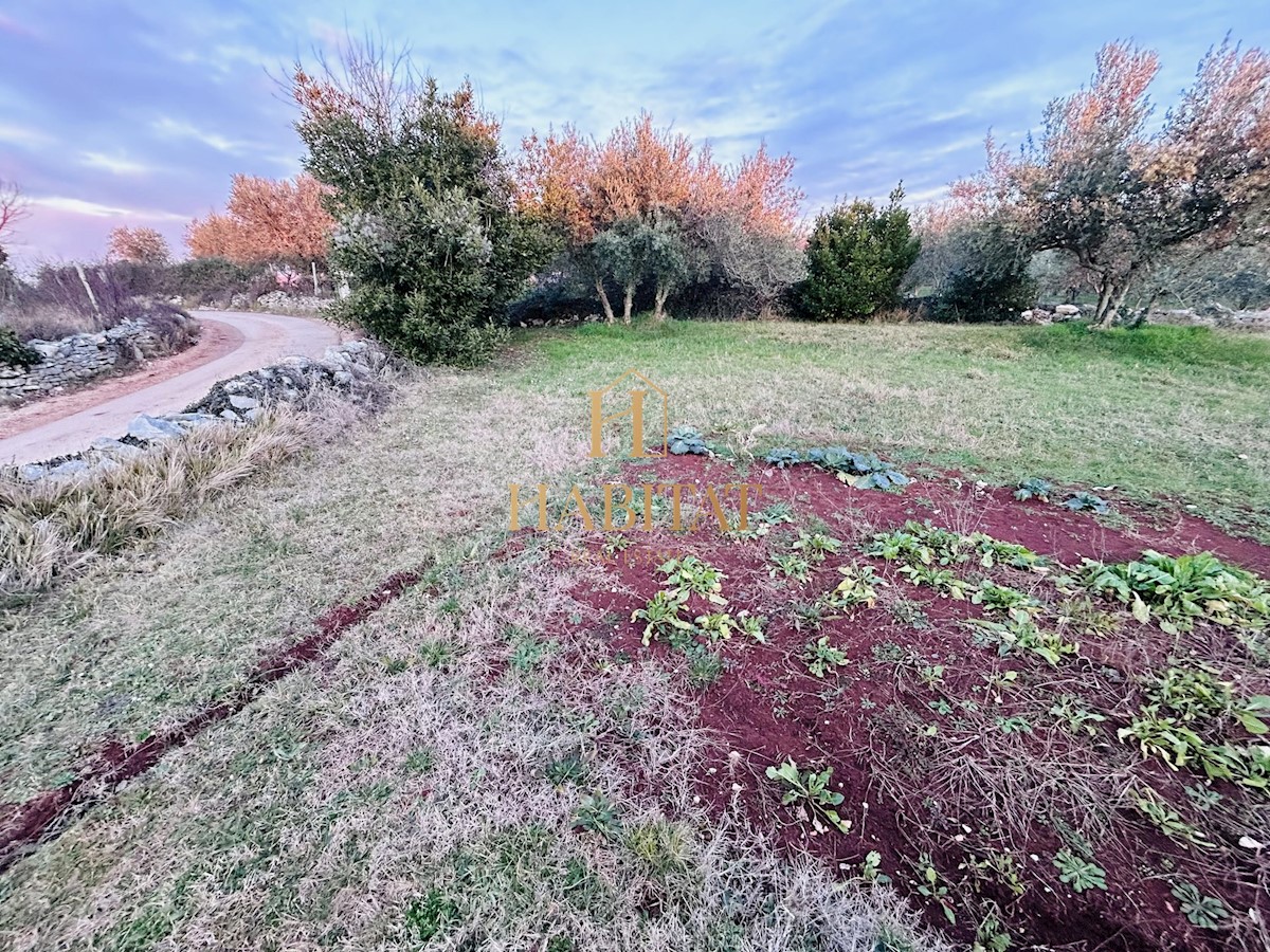 Istra, Kaštel, gradbeno zemljišče 854m2, narava, oljčni nasad, mirna okolica